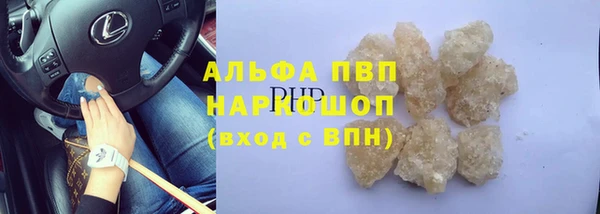 стаф Баксан