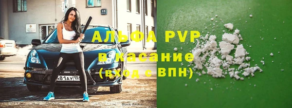 стаф Баксан